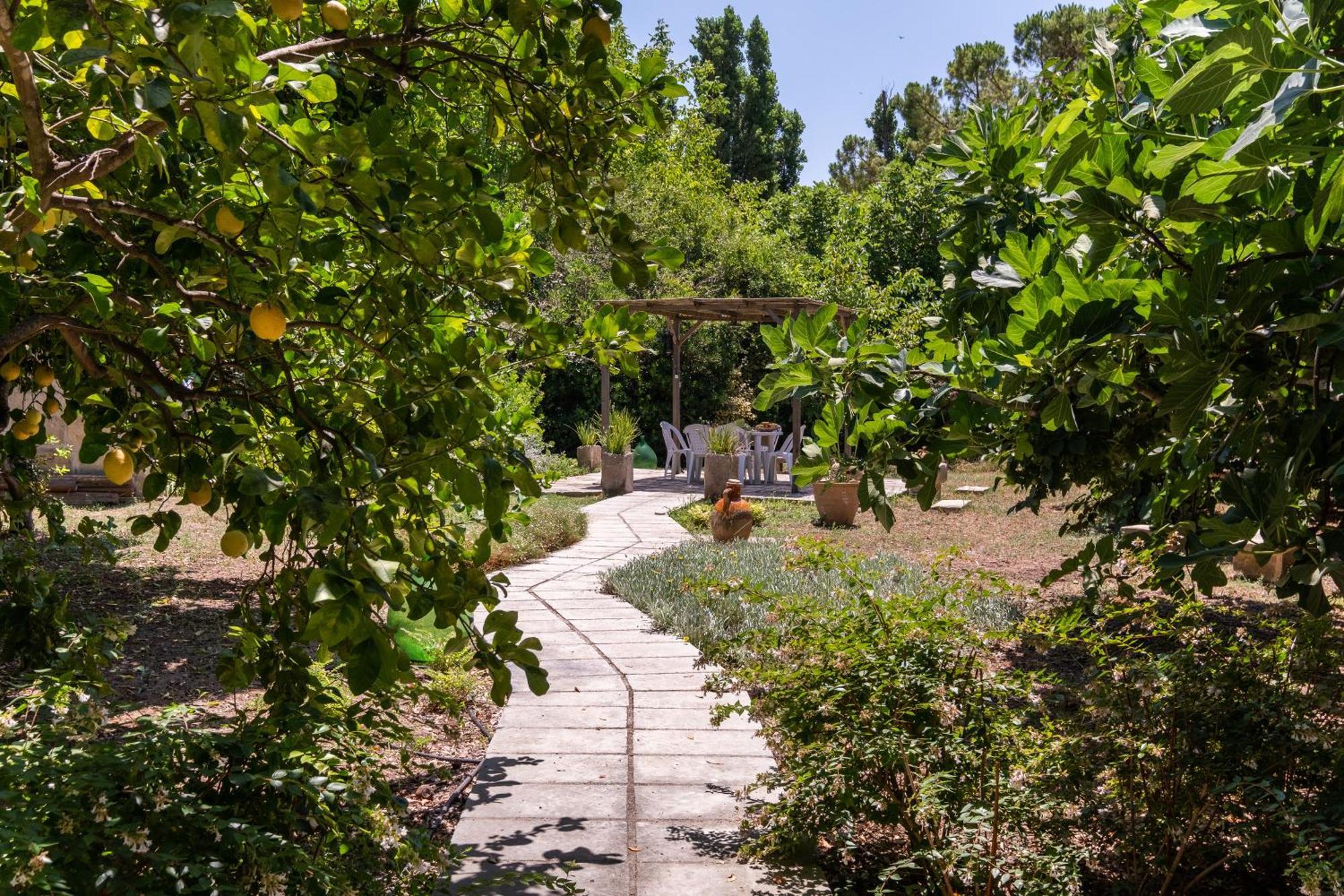 La Dimora Elia' Βίλα Muro Leccese Εξωτερικό φωτογραφία